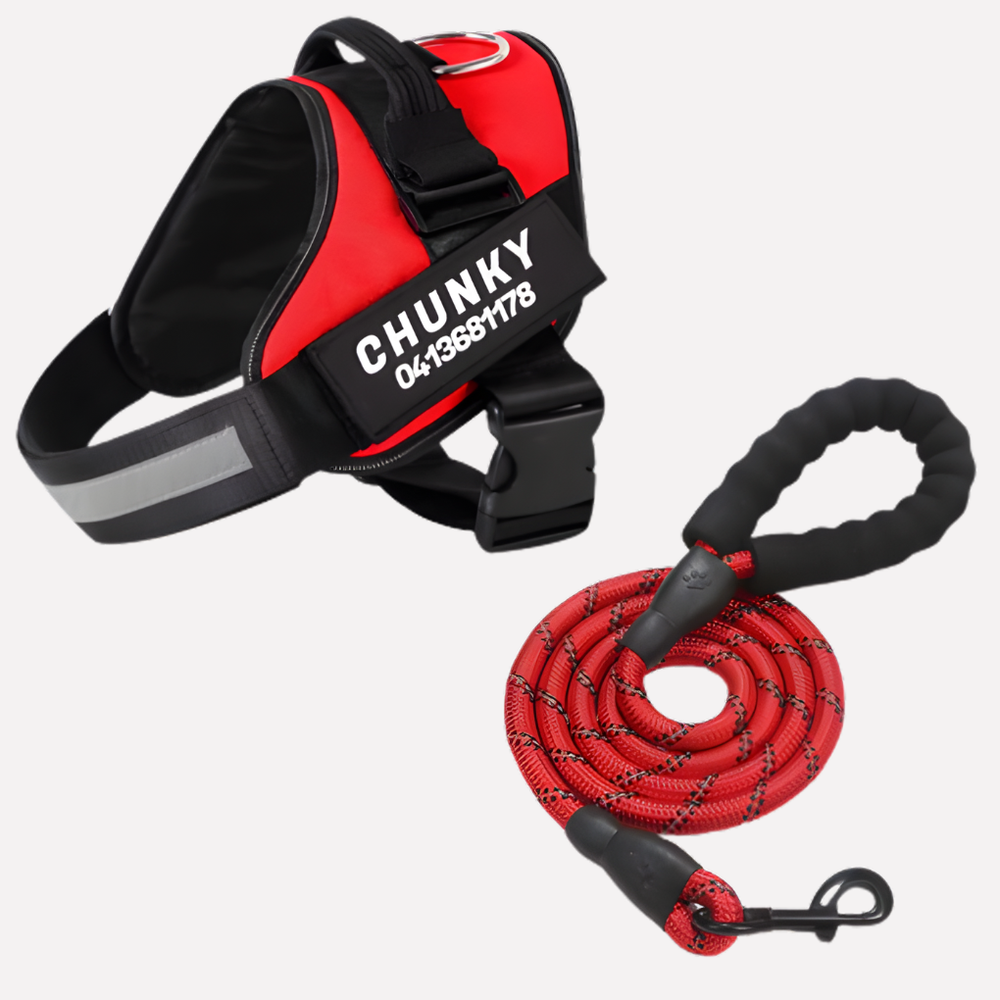 Customizable Davy No-Pull Front-Clip Dog Harness | Perfect Fit for Comfortable Walking