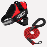 Customizable Davy No-Pull Front-Clip Dog Harness | Perfect Fit for Comfortable Walking