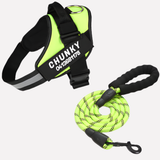 Customizable Davy No-Pull Front-Clip Dog Harness | Perfect Fit for Comfortable Walking
