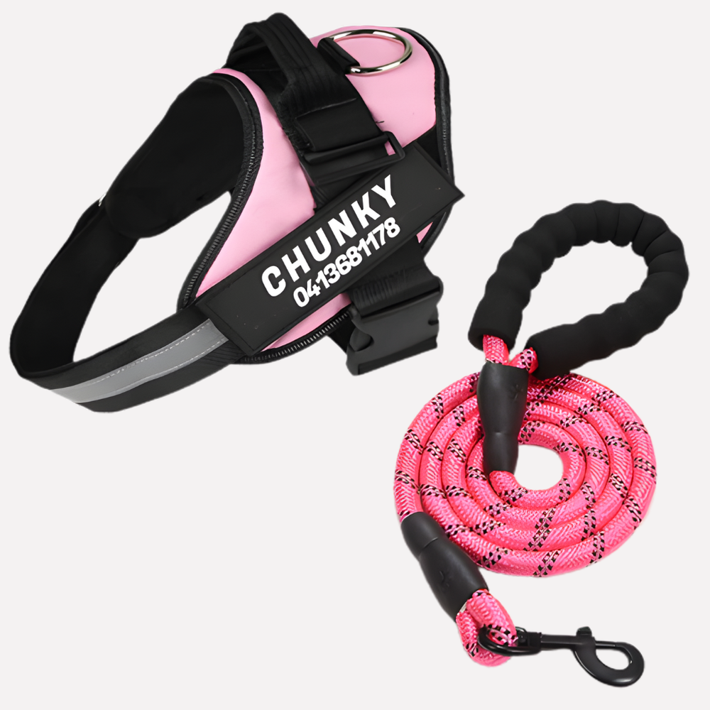 Customizable Davy No-Pull Front-Clip Dog Harness | Perfect Fit for Comfortable Walking