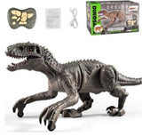 Davy Remote Control Dinosaur Toy for Kids - Interactive & Fun RC T-Rex with Realistic Sounds & Movements