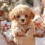 Davy SnugglePup | Realistic Plush Puppy Toy with Lifelike Features - Perfect for Cuddling and Play