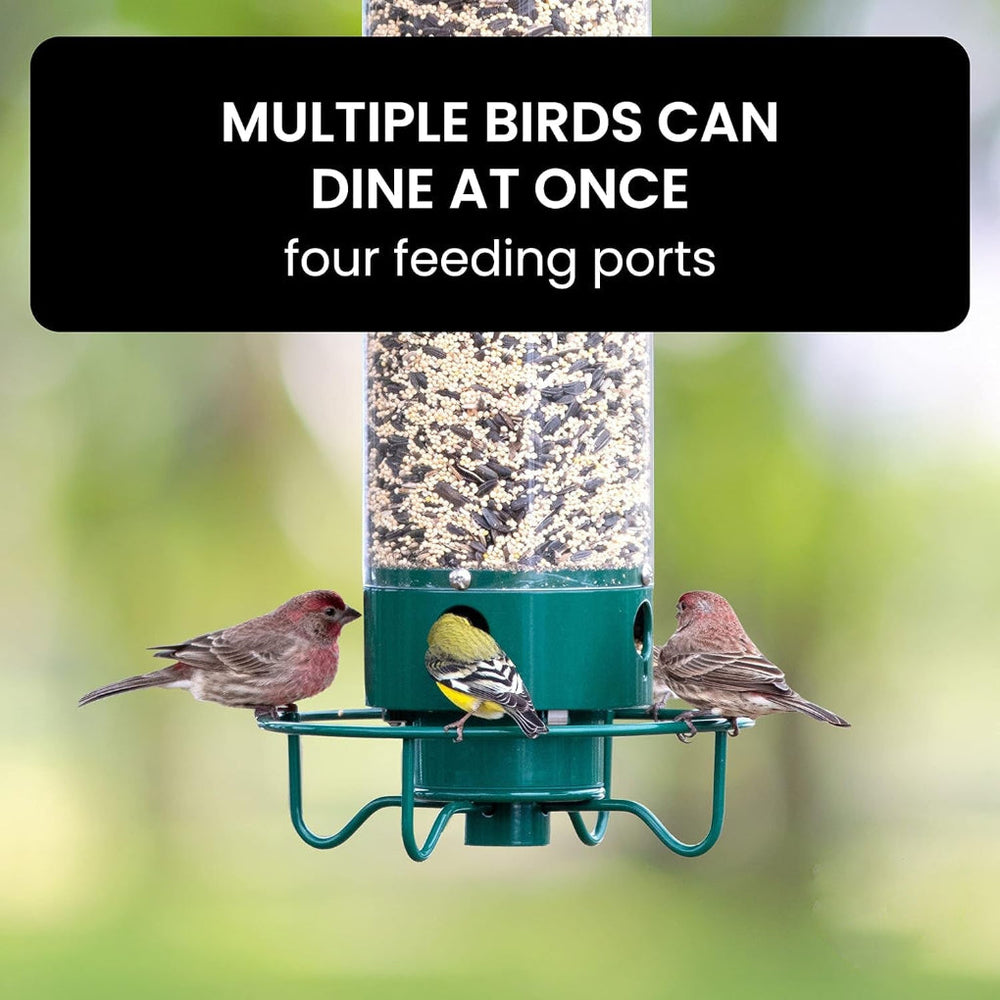 Davy Squirrel-Proof Bird Feeder - Multi-Port Design for Attracting More Birds