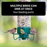 Davy Squirrel-Proof Bird Feeder - Multi-Port Design for Attracting More Birds