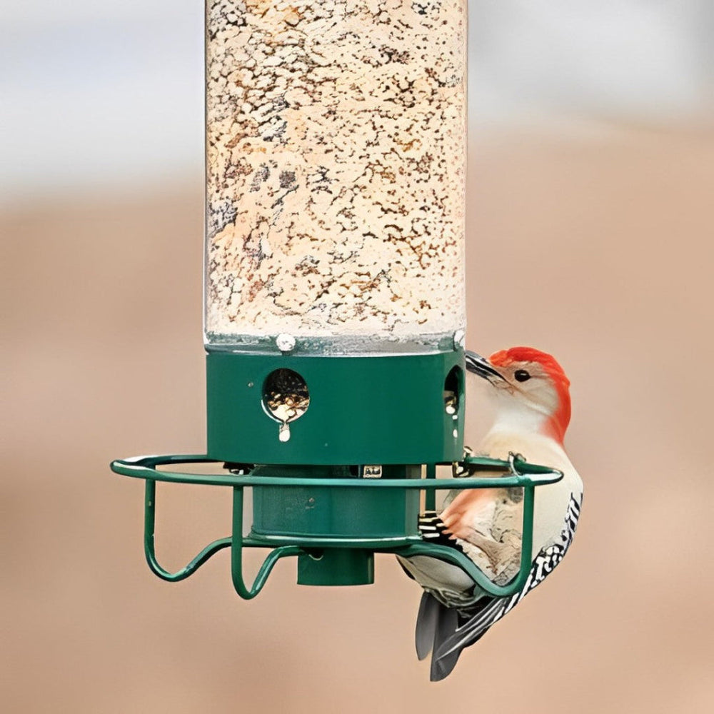 Davy Squirrel-Proof Bird Feeder - Multi-Port Design for Attracting More Birds