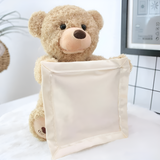 Davy Interactive Plush Teddy Bear Toy for Toddlers | Unisex Soft Cuddly Companion