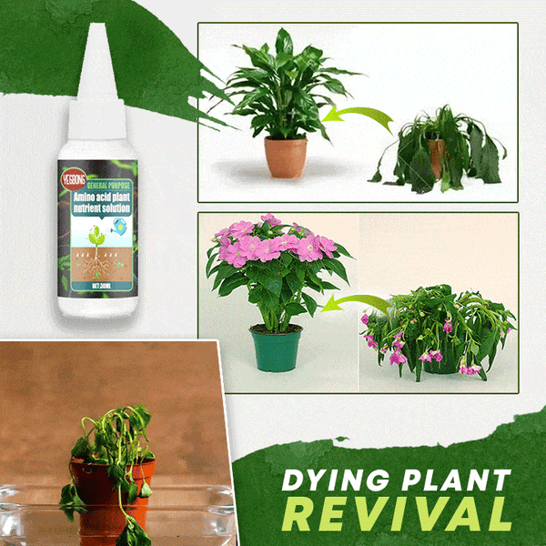Amino Acid Plant Fertilizer – 30ml Concentrate, Growth Booster for Balcony Plants
