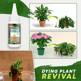 Amino Acid Plant Fertilizer – 30ml Concentrate, Growth Booster for Balcony Plants