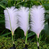 SunReed Decorative Wicker Garden Lights - Elegant Outdoor Lighting for Patios & Gardens