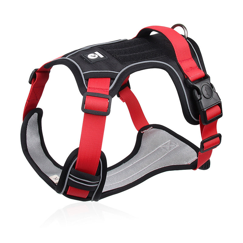 No-Pull Dog Harness Set – LED Collar, Padded Fit & Matching Leash
