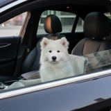 Dog Car Seat Travel Safety Booster Pet Seat