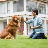 Ultrasonic Dog Bark Trainer – 15 m Range, 20-23 kHz & LED Light