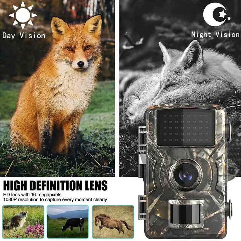 Trail Camera – Night Vision, 16MP Resolution & Wildlife Monitoring