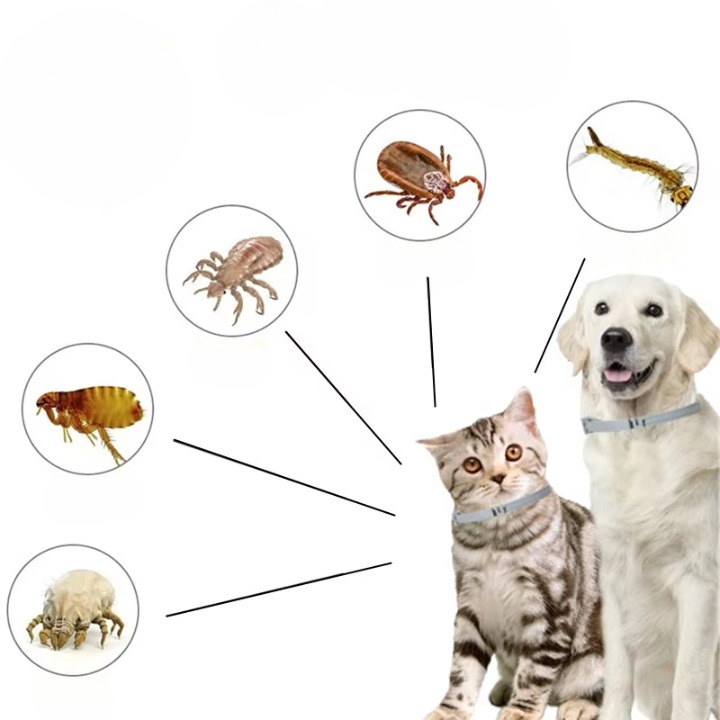 Natural Flea & Tick Collar – 8-Month Protection, Waterproof & Adjustable for Dogs & Cats