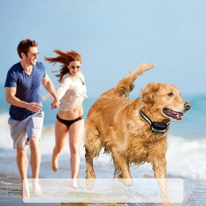 Optimized Product Title: "Fernbedienbares Hundehalsband bis 1000m - Ideal für entspannte Spaziergänge mit Ihrem Hund" 

This title includes relevant keywords while maintaining clarity and appeal for potential buyers.