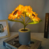 Enhanced Product Title: "Sonnenblumen-Nachtlampe für Kinder - LED Nachtlicht mit sanften Farben und Timer-Funktion" 

This optimized title includes relevant keywords and additional details to attract potential buyers while maintaining clarity.