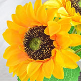 Enhanced Product Title: "Sonnenblumen-Nachtlampe für Kinder - LED Nachtlicht mit sanften Farben und Timer-Funktion" 

This optimized title includes relevant keywords and additional details to attract potential buyers while maintaining clarity.