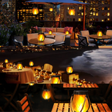 Solar LED Flame Lantern – Realistic Flame Effect, Dusk Sensor & USB Backup