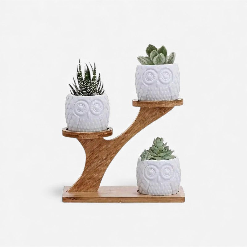 Optimized Product Title: "3-Stufiger Bambus Pflanzenständer – Baumförmiges Pflanzenregal für Zimmerpflanzen & Dekoration" 

This enhanced title includes relevant keywords for better visibility on Google Shopping while maintaining clarity and appeal.
