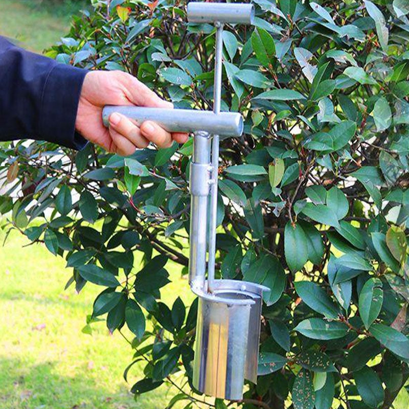 Optimized Product Title: "Edelstahl Garten-Pflanzenstecher mit T-Griff – Robuster Pflanzwerkzeug für präzises Setzen und Umpflanzen" 

This title includes relevant keywords and provides more detail about the product's use and benefits, which can help impr