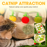 Catnip Cat Toy String – Plush Fruits, Jingle Bells & 48cm Interactive Wand