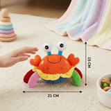 Educational Toy Interactive Toy Musical Crab Activity