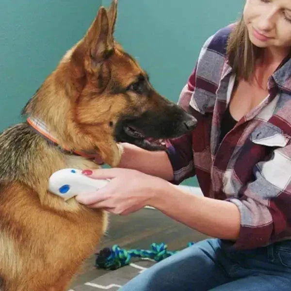 FleaZap Electric Flea Eliminator for Pets – Safe, Effective, and Chemical-Free Pest Control