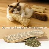 Sisal Catnip Cat Toy – Natural Fiber, Teeth Cleaning & Bite-Resistant