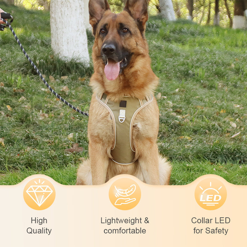 No-Pull Dog Harness Set – LED Collar, Padded Fit & Matching Leash