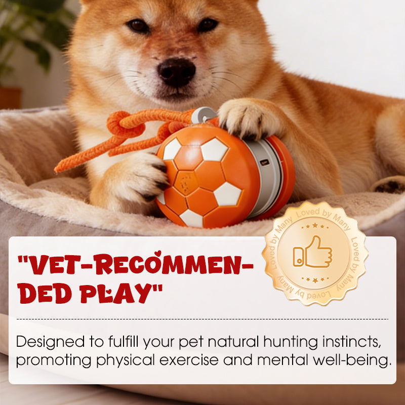Interactive Dog Ball – USB-C Rechargeable, ABS/TPU & Obstacle-Avoiding