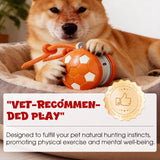 Interactive Dog Ball – USB-C Rechargeable, ABS/TPU & Obstacle-Avoiding