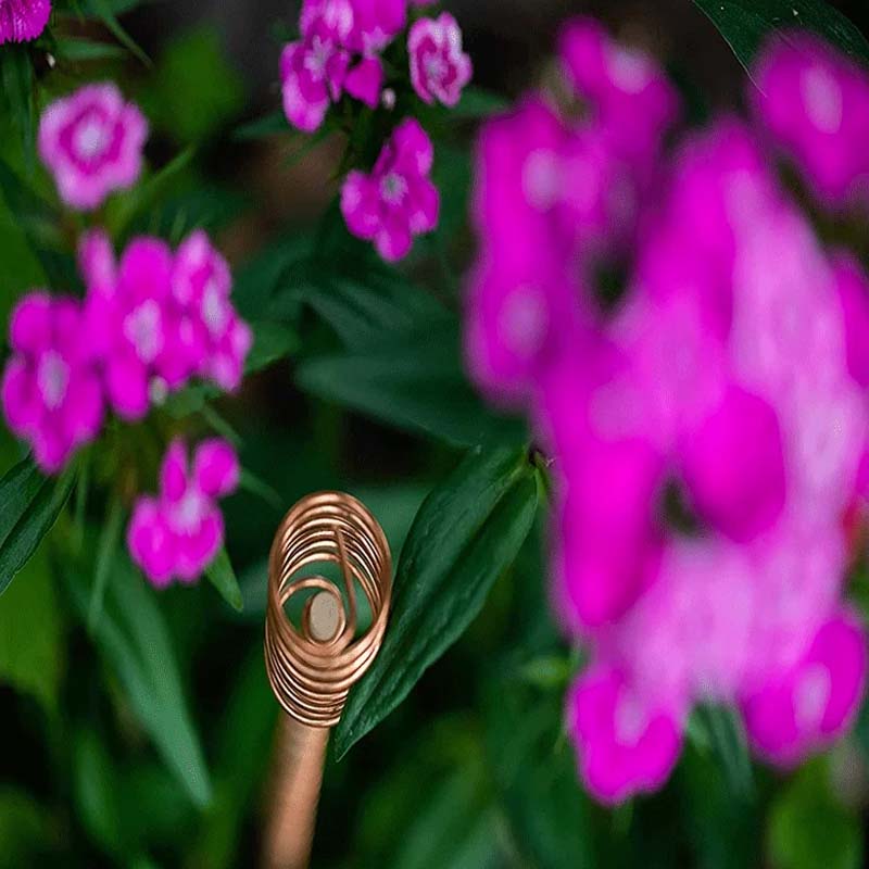 Copper Electroculture Antennas – 5-Pack, Pure Copper Spiral & 30cm Plant Stakes