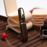 Acrylic Fountain Pen – EF 0.38 mm Nib, Smooth Ink Flow & 9 Colors