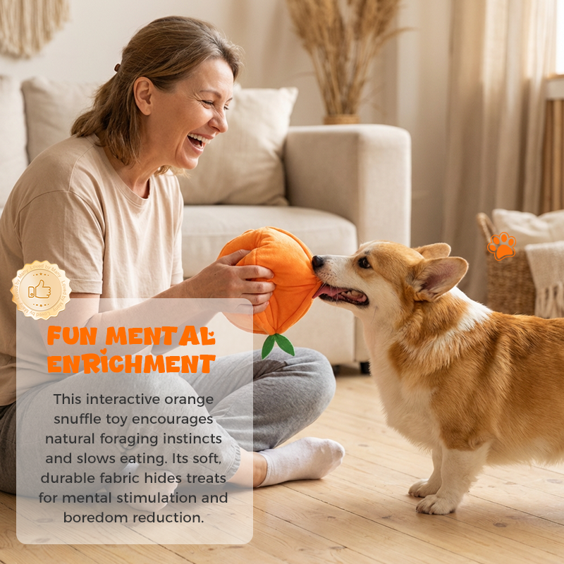 Optimized Product Title: Interaktives Plüsch-Hundespielzeug mit Quietscher – Versteck-Puzzle für Leckerchen | Fördert Spielspaß & geistige Stimulation für Hunde

This enhanced title includes keywords that may improve search visibility while clearly descri