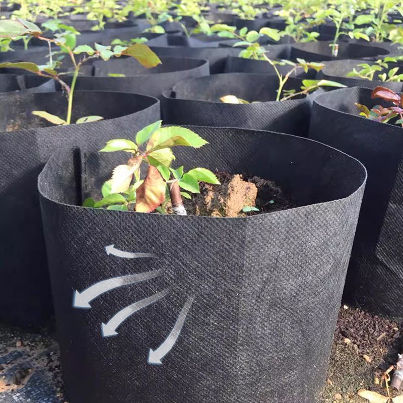 Felt Grow Bags – Breathable Fabric, Drainage & 4-26L with Handles