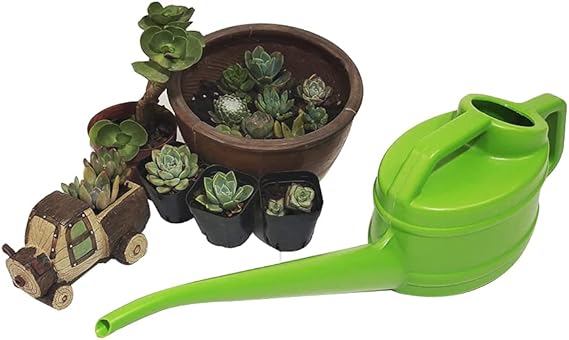 Long-Spout Watering Can – Precise Pour, Ergonomic Handle & 3 Colors