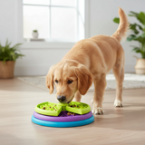 Slow Feeder Dog Bowl – Interactive Puzzle, Healthy Eating & Food Dish