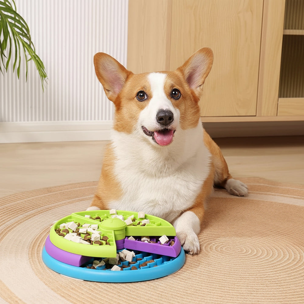 Slow Feeder Dog Bowl – Interactive Puzzle, Healthy Eating & Food Dish
