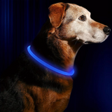 GlowSafe Rechargeable LED Dog Collar - USB Safety Light for Enhanced Visibility & Nighttime Safety