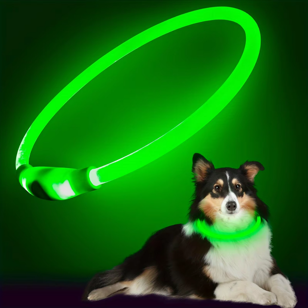 GlowSafe Rechargeable LED Dog Collar - USB Safety Light for Enhanced Visibility & Nighttime Safety
