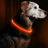 GlowSafe Rechargeable LED Dog Collar - USB Safety Light for Enhanced Visibility & Nighttime Safety
