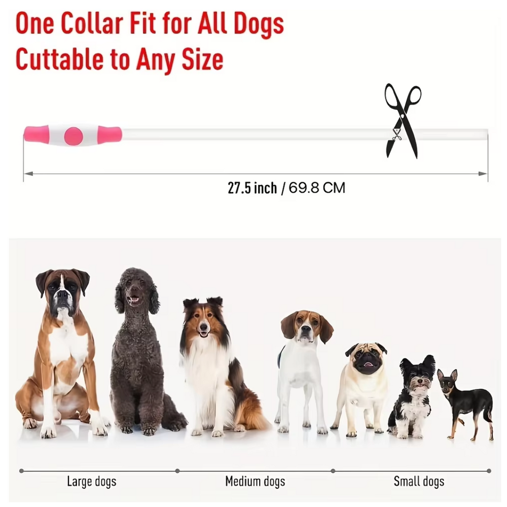 GlowSafe Rechargeable LED Dog Collar - USB Safety Light for Enhanced Visibility & Nighttime Safety