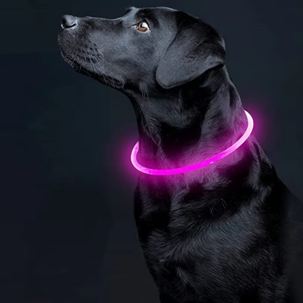 GlowSafe Rechargeable LED Dog Collar - USB Safety Light for Enhanced Visibility & Nighttime Safety