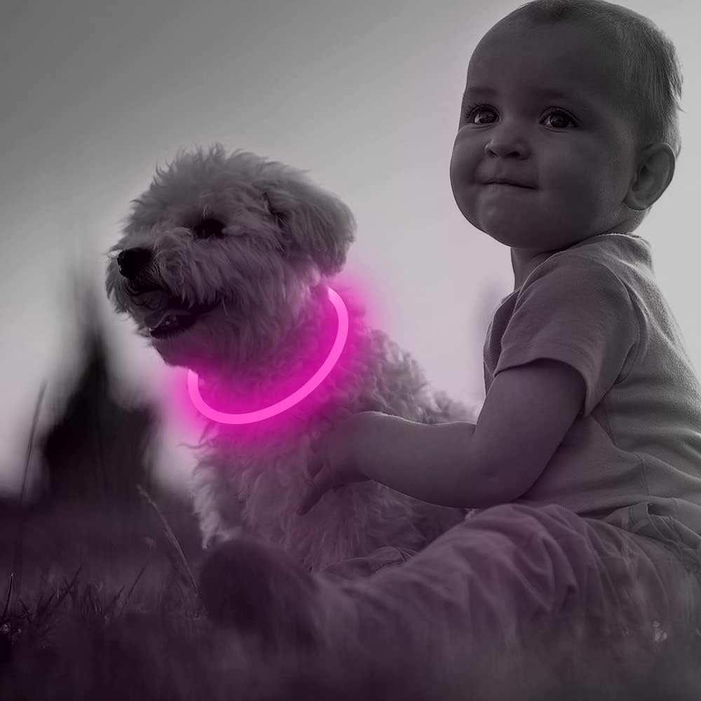 GlowSafe Rechargeable LED Dog Collar - USB Safety Light for Enhanced Visibility & Nighttime Safety