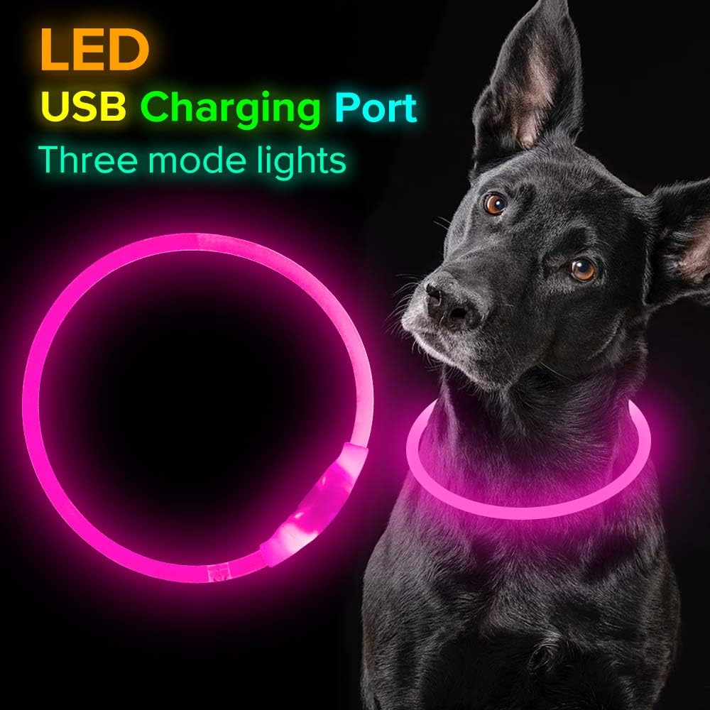 GlowSafe Rechargeable LED Dog Collar - USB Safety Light for Enhanced Visibility & Nighttime Safety