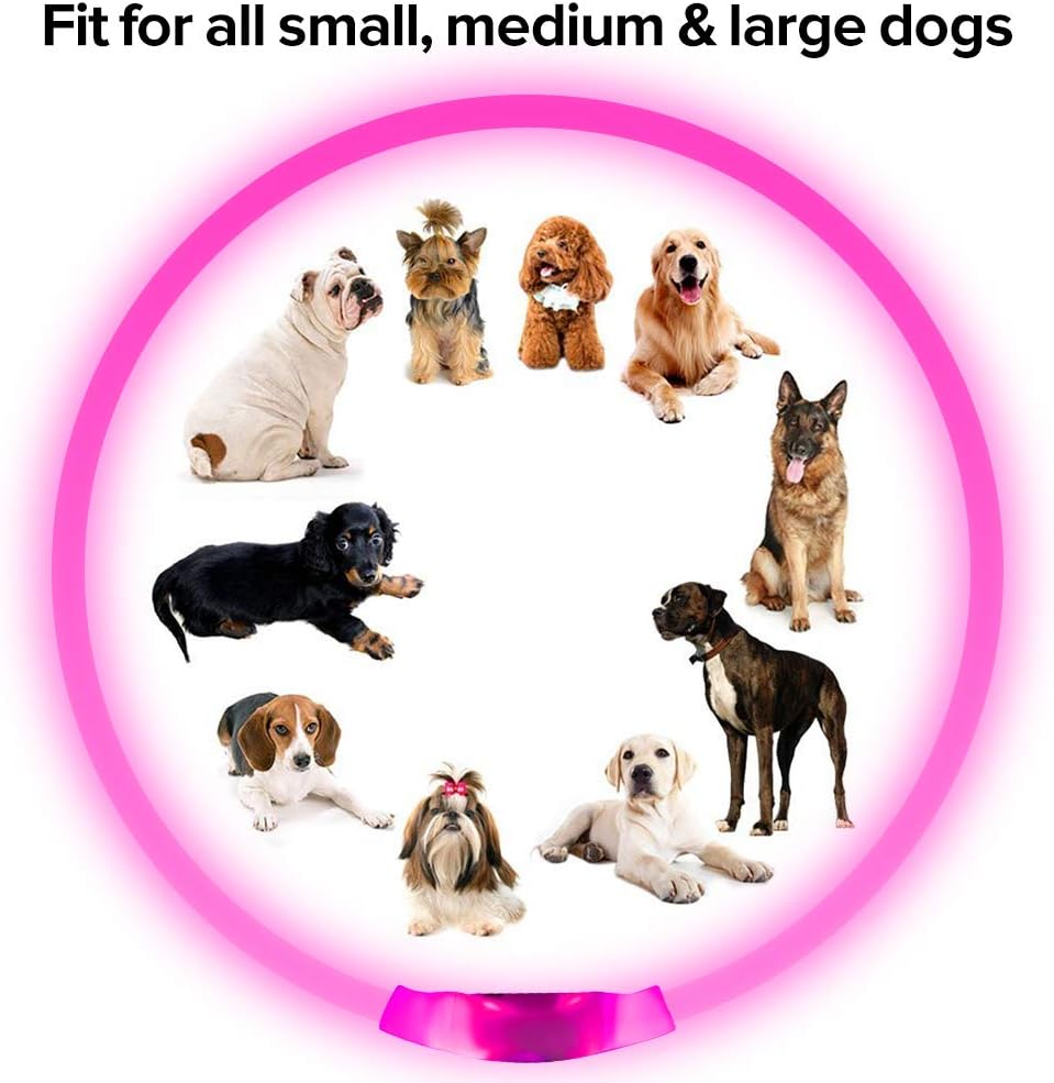 GlowSafe Rechargeable LED Dog Collar - USB Safety Light for Enhanced Visibility & Nighttime Safety