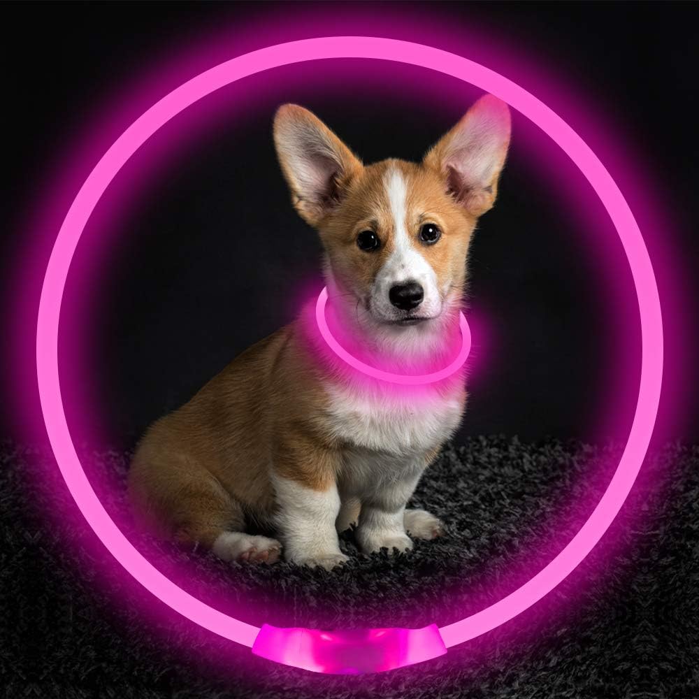 GlowSafe Rechargeable LED Dog Collar - USB Safety Light for Enhanced Visibility & Nighttime Safety