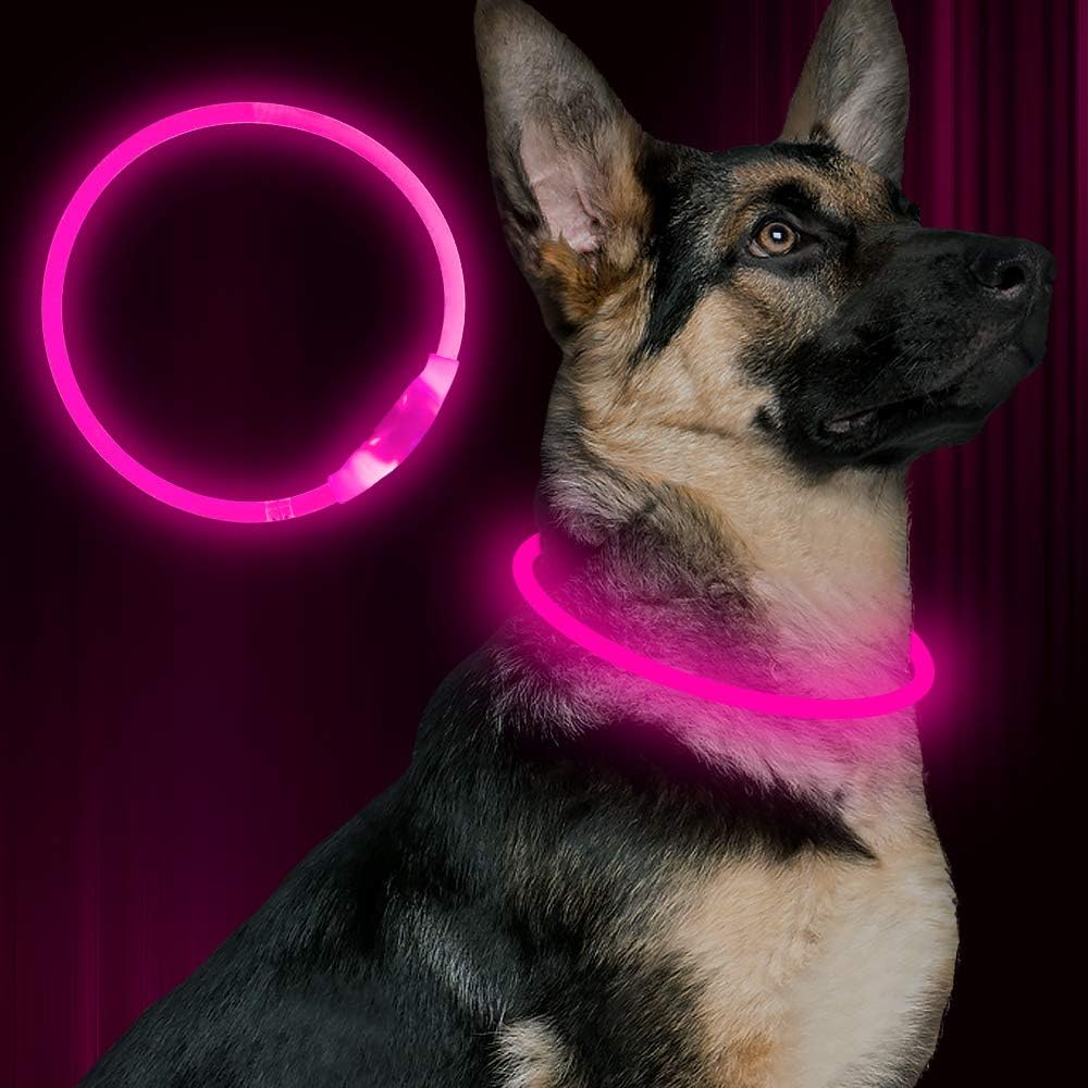 GlowSafe Rechargeable LED Dog Collar - USB Safety Light for Enhanced Visibility & Nighttime Safety