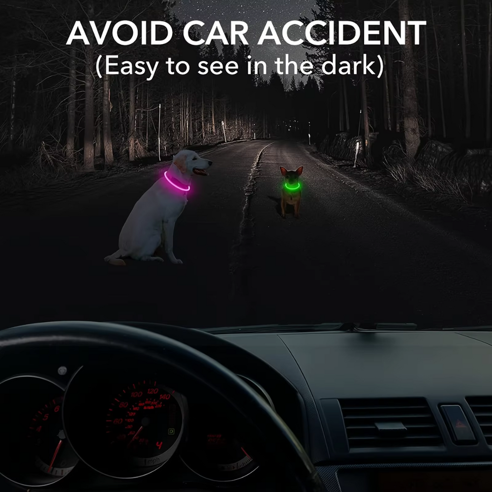 GlowSafe Rechargeable LED Dog Collar - USB Safety Light for Enhanced Visibility & Nighttime Safety