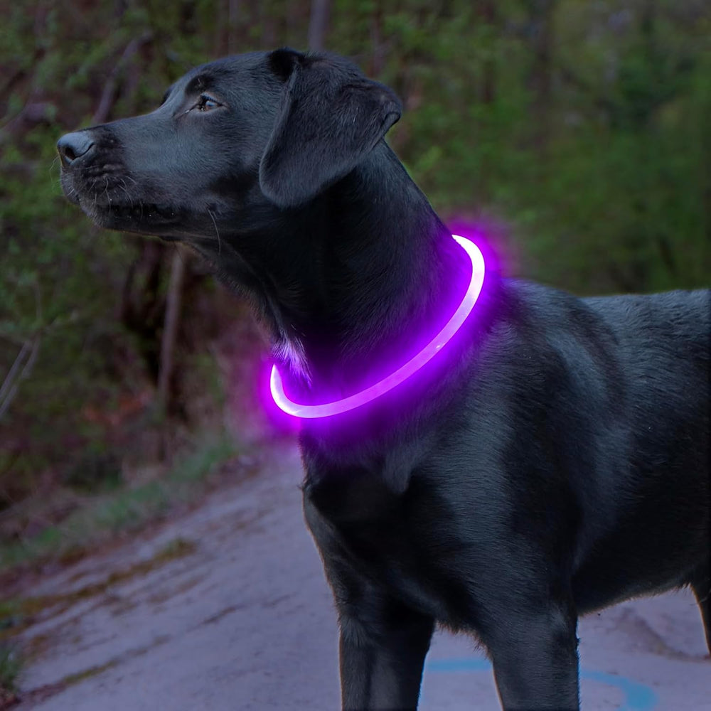 GlowSafe Rechargeable LED Dog Collar - USB Safety Light for Enhanced Visibility & Nighttime Safety